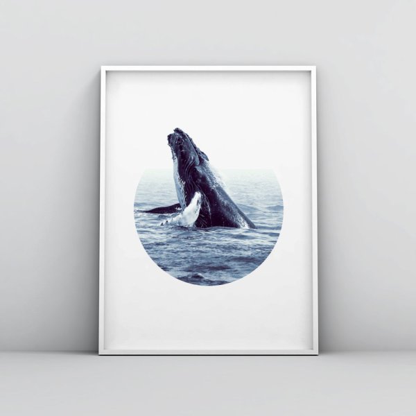 Кит Терри (Keith Terry),