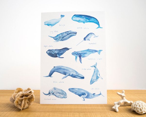 Зеленая лампочка кит