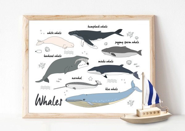 Стихи про китов