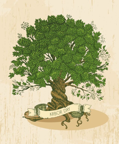 Генеалогическое Древо дуб