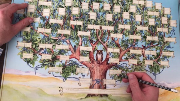 Семейное дерево