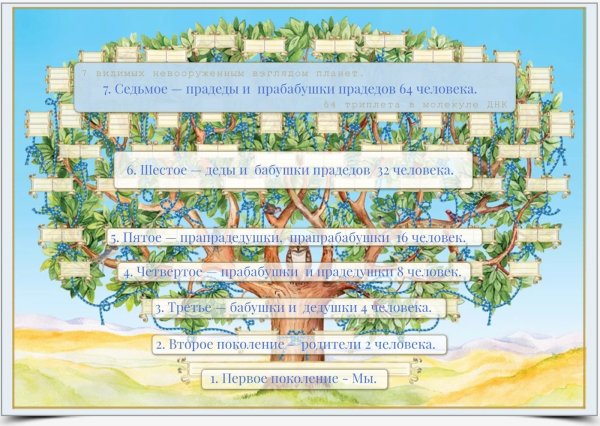 Генеалогическое дерево плакат