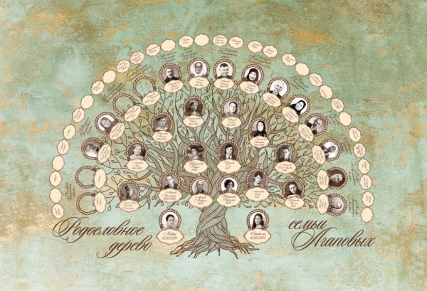 Светлана Агапова родословная