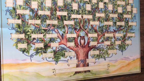 Фрида Кало родовое Древо генеалогическое