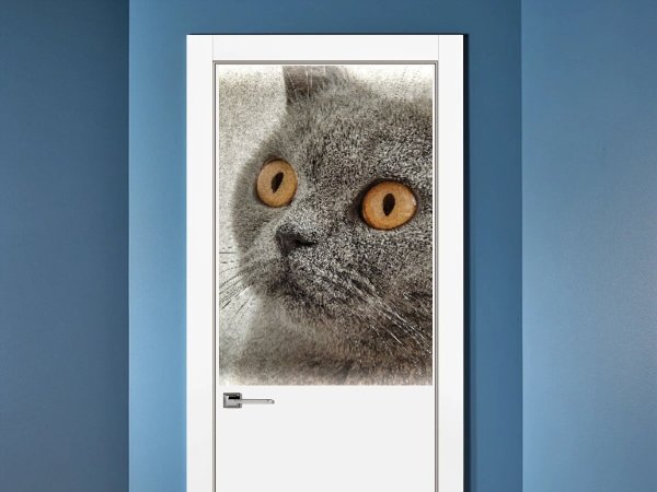 Постер кот в очках