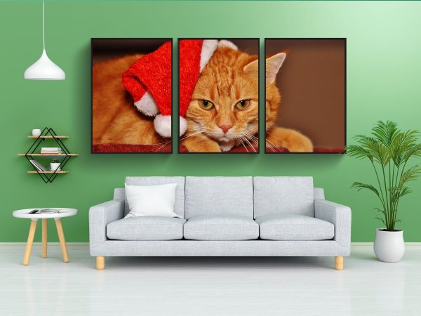 Постер коты 50х70 в тубусе