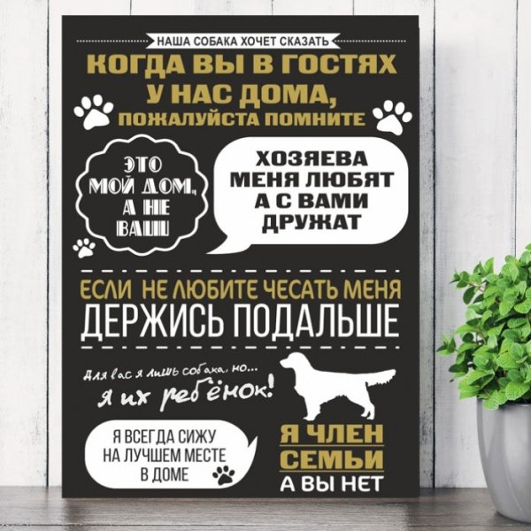 Банные заповеди шуточные