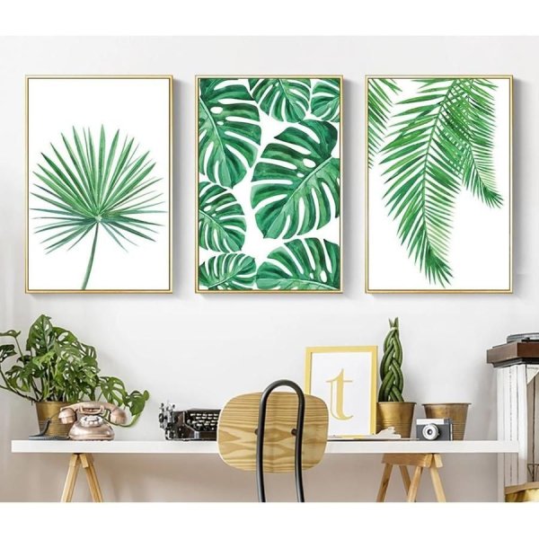 Тропические листья Musa basico