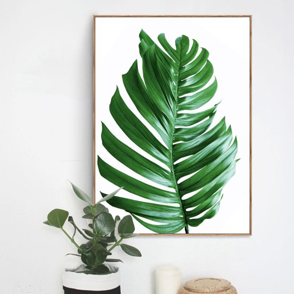 Монстера декор