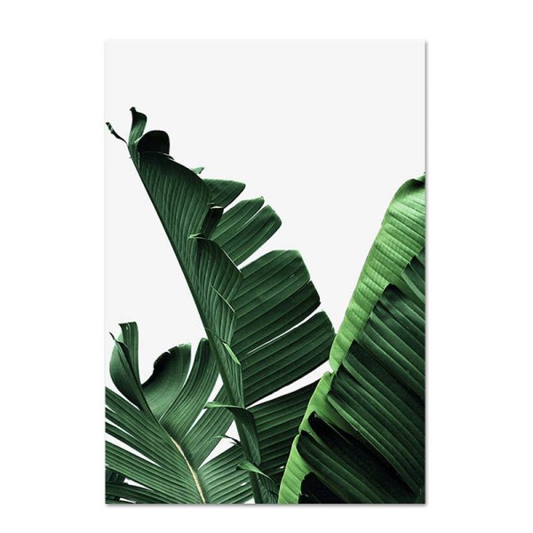 Постер листья