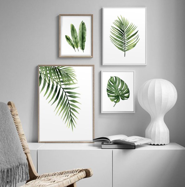 Тропические листья пальмы