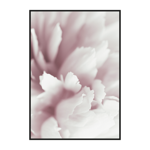 Аннет Логинова пионы