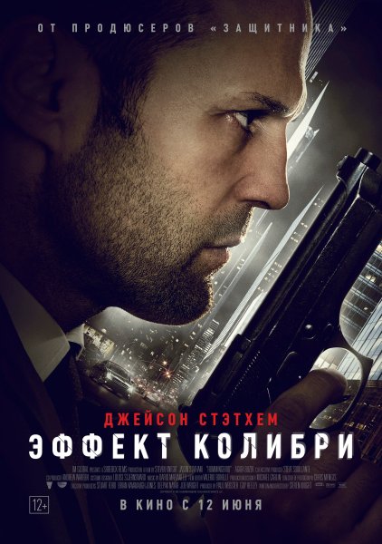 Эффект Колибри 2013 Постер