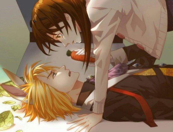 Данделион новелла чи Су