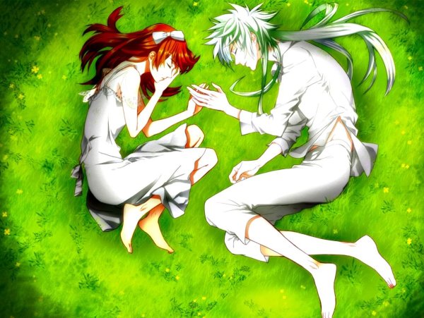 Чи Хэ Данделион