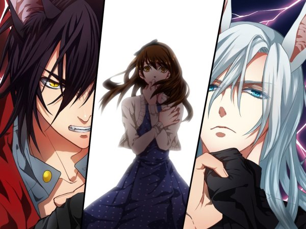 Чи Хэ Данделион