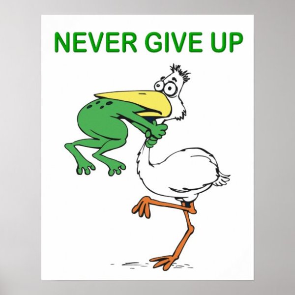 Never give up лягушка