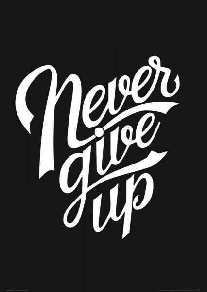 Постер never give up