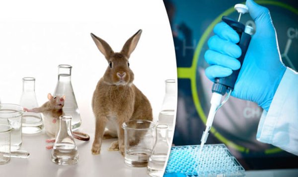 Лабораторные животные