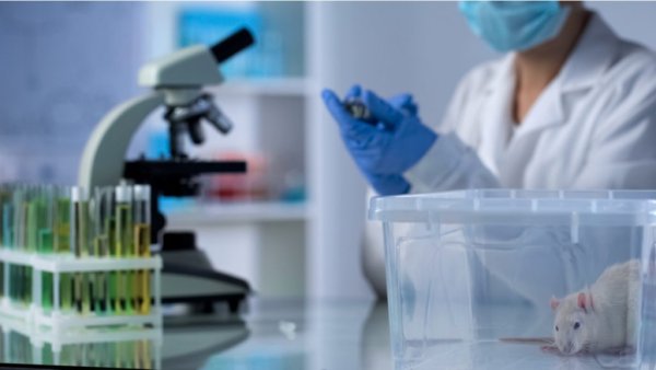 Химическая лаборатория вектор