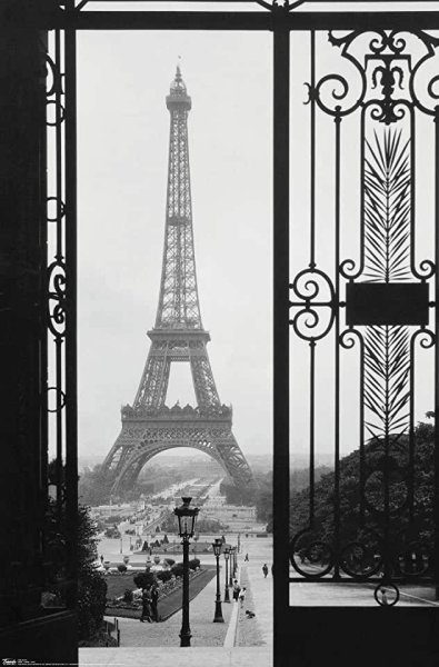 Париж картина черно белая