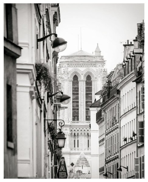 Картина Эйфелевой башни черно белая