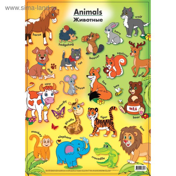Плакат животные на англ