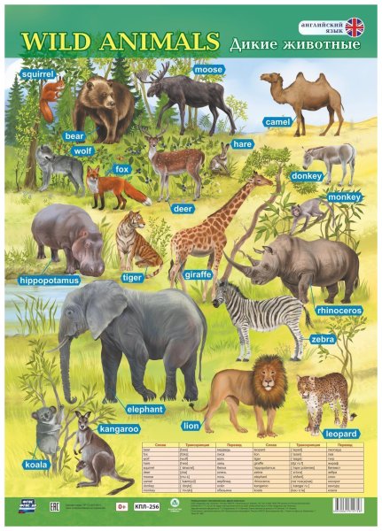 Плакат по английскому