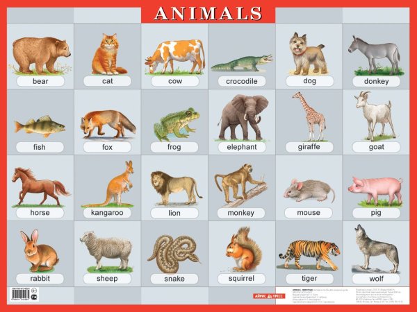 Животные на англ