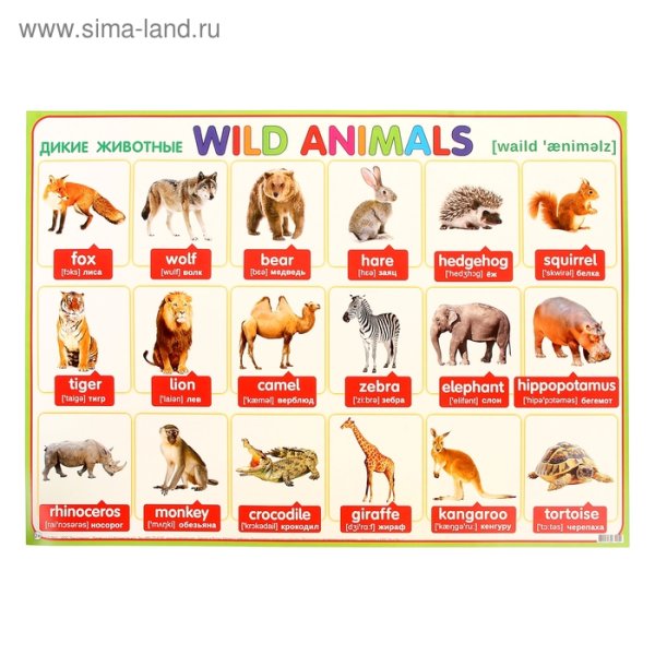 Африканские животные на английском языке