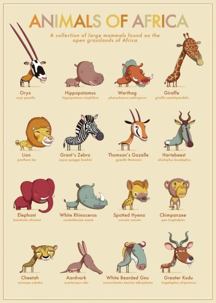 Животные на английском языке