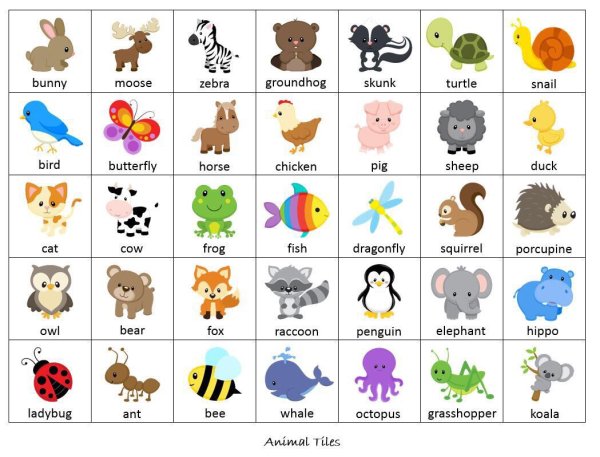 Животные на испанском