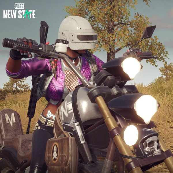 PUBG New State photo