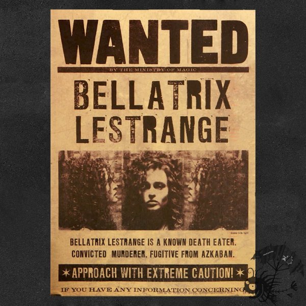 Плакат разыскивается Гарри Поттер