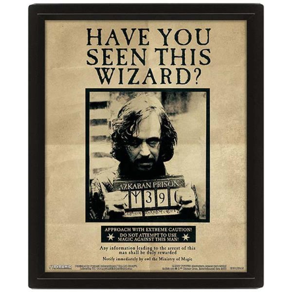 Гарри Поттер разыскивается Постер