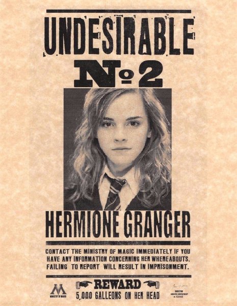 Плакат Harry Potter undesirable