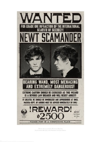 Гарри Поттер разыскивается Постер