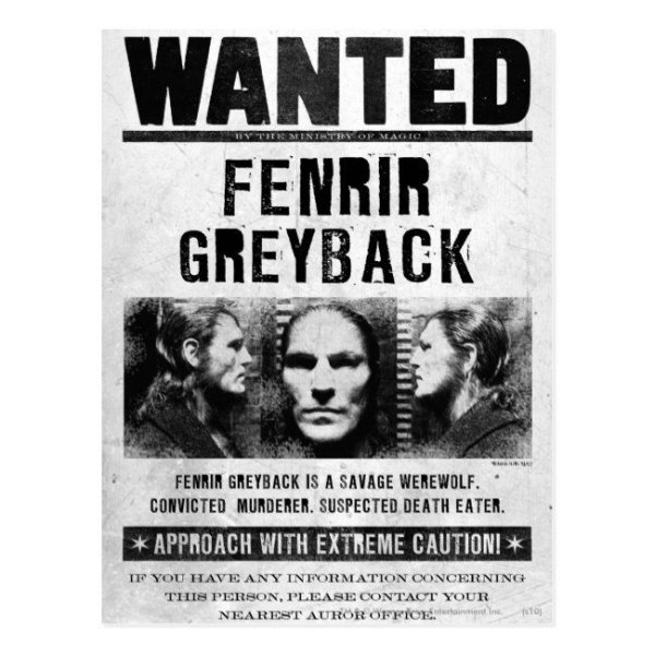 Постер разыскивается из Гарри Поттера