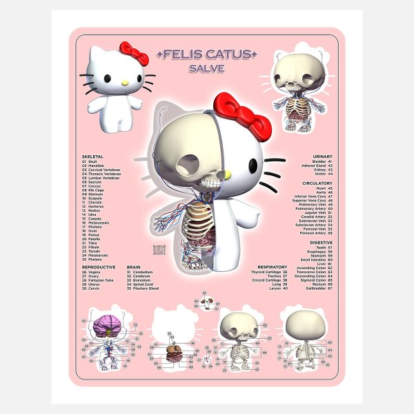 Мелоди Хелло Китти плакат