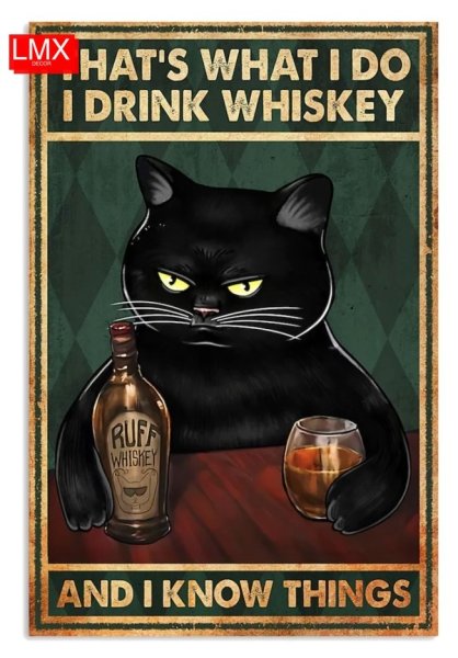 Стейнлен черный кот a3