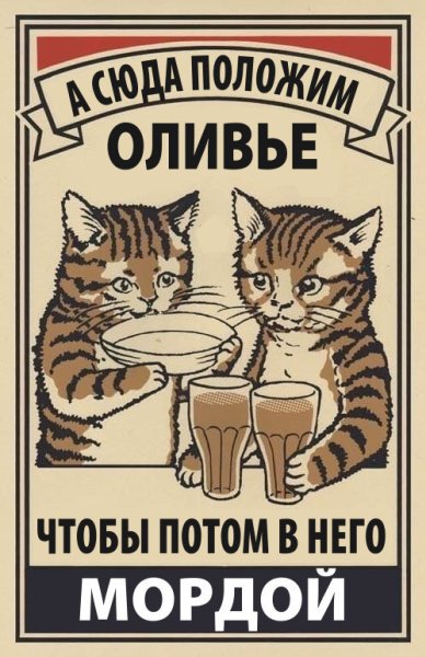 Плакаты с котами