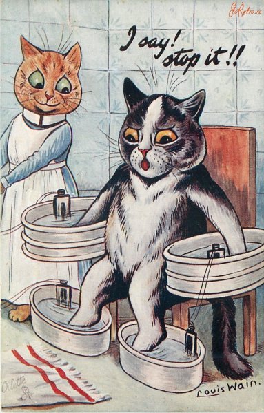 Постеры с котами