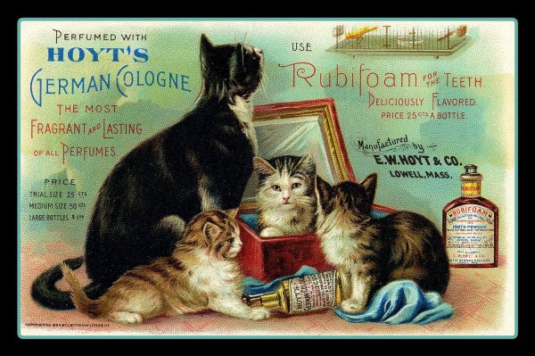 Винтажные котики