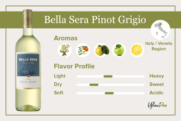 Классификация и форма бокалов для вина