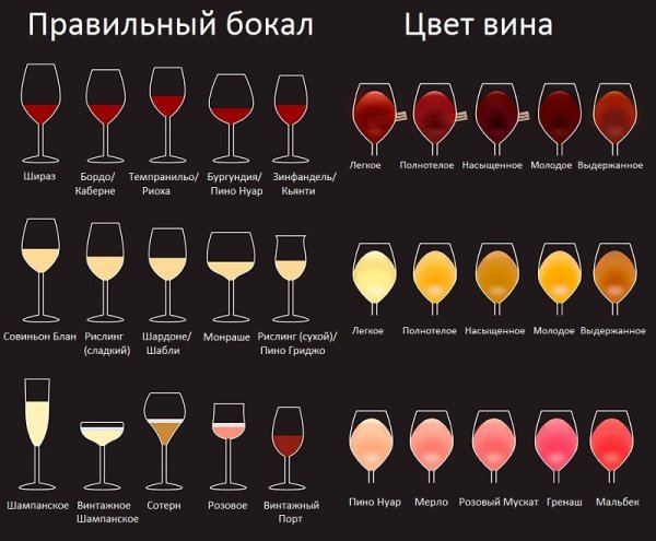 Шираз Пино Гриджио Мерло