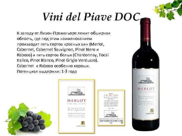 Бокалы для вина классификация