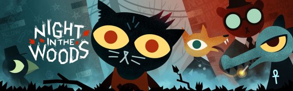 Night in the Woods мерч