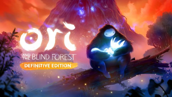 Ori and the Blind Forest туманный лес карта