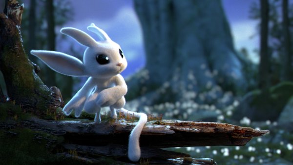 Ори блайнд Форест