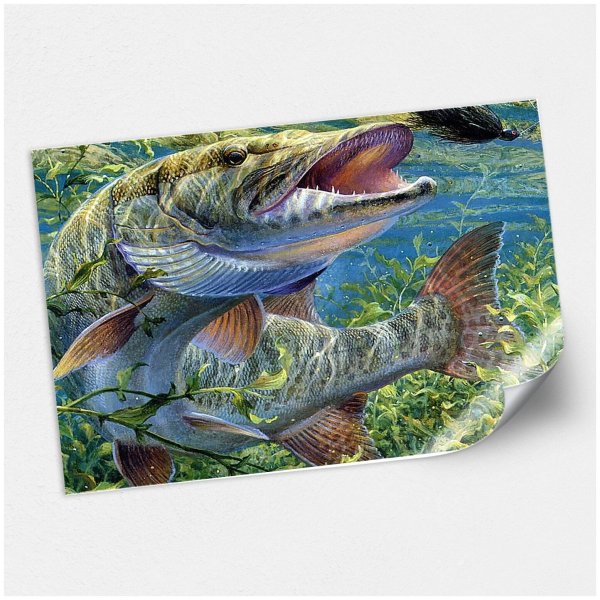 Постер с видами рыб